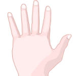 Конический (художественный) тип руки
