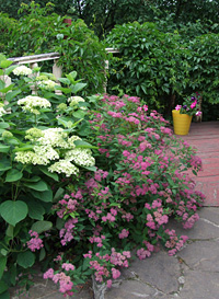 http://www.kleo.ru/img/items/beautiful_garden_1.jpg