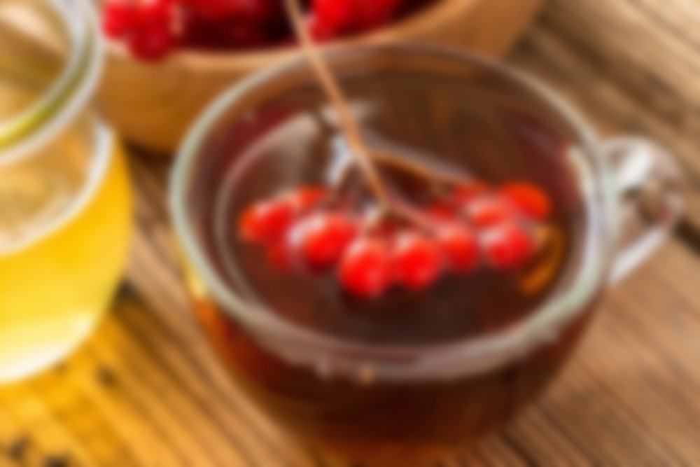 Калина красная полезные свойства и противопоказания с медом