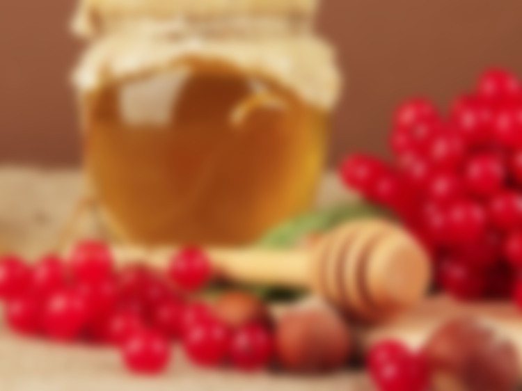 Калина на меду лечебные свойства и противопоказания