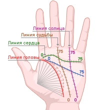 Линия Жизни На Руке Фото