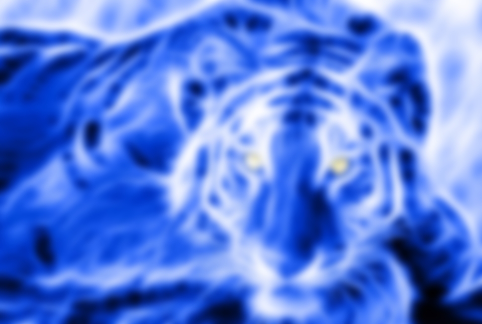 Как встретить Новый 2022 год, чтобы задобрить Голубого Водяного Тигра: как  угодить символу года