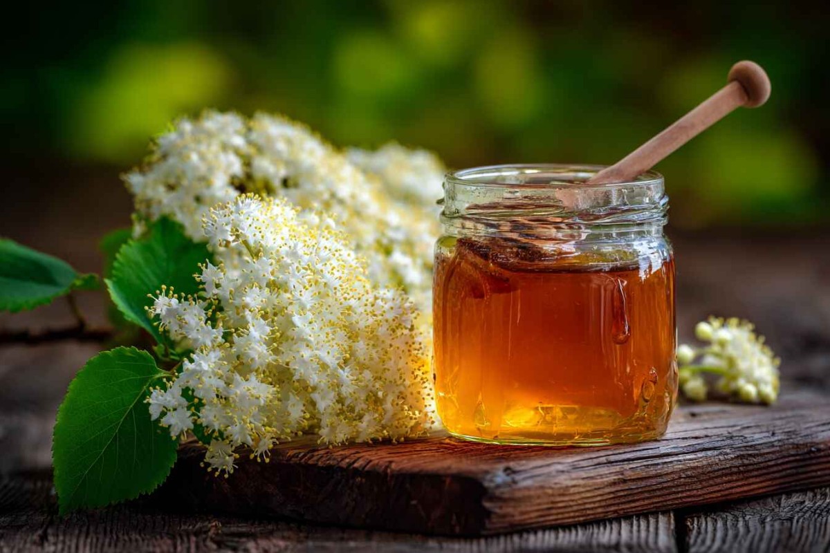 Изображение сгенерировано при помощи нейросети Midjourney