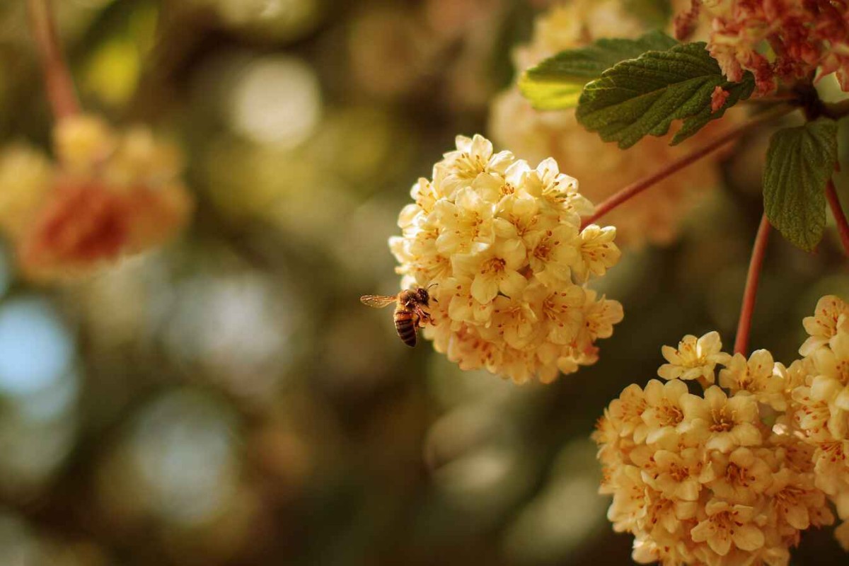 Изображение сгенерировано при помощи нейросети Midjourney