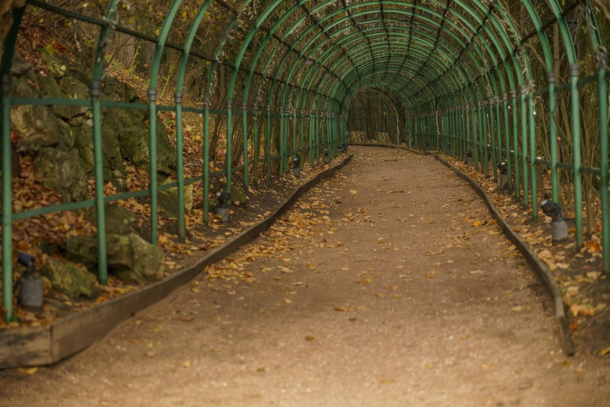 Фото: медиасток.рф