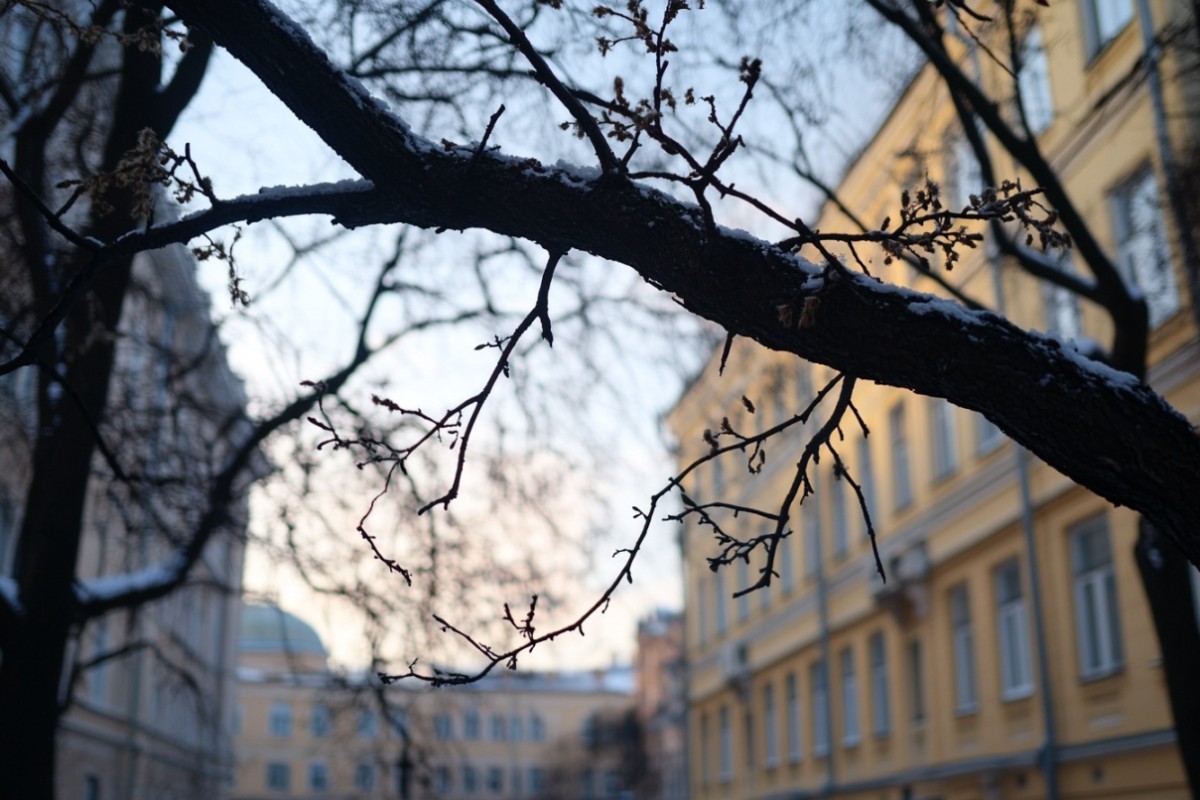 Изображение сгенерировано при помощи нейросети Midjourney