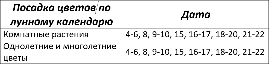 Лунный посевной календарь на февраль 2025 года для цветов – Kleo.ru