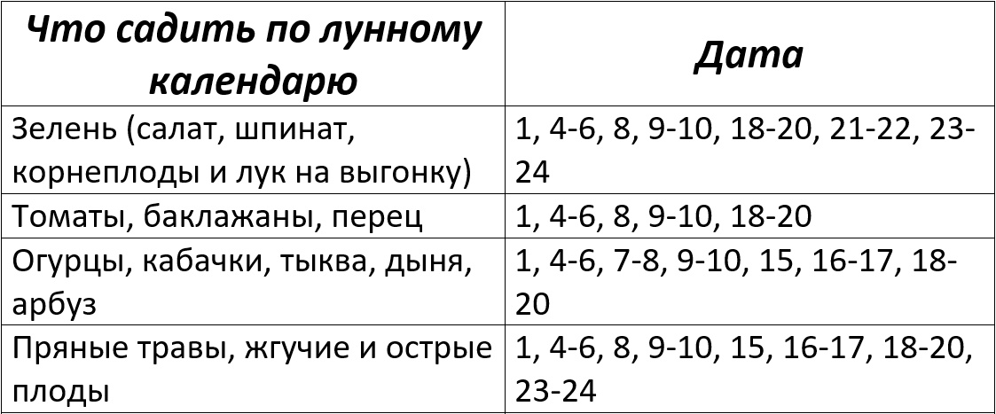 Лунный посевной календарь на февраль 2025 года для огородных культур – Kleo.ru