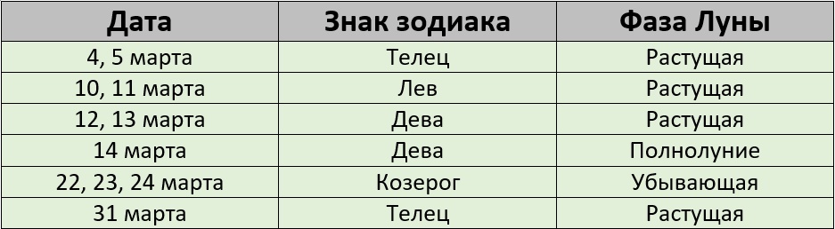 Благоприятные дни для стрижки по лунному календарю на март 2025 года – Kleo.ru