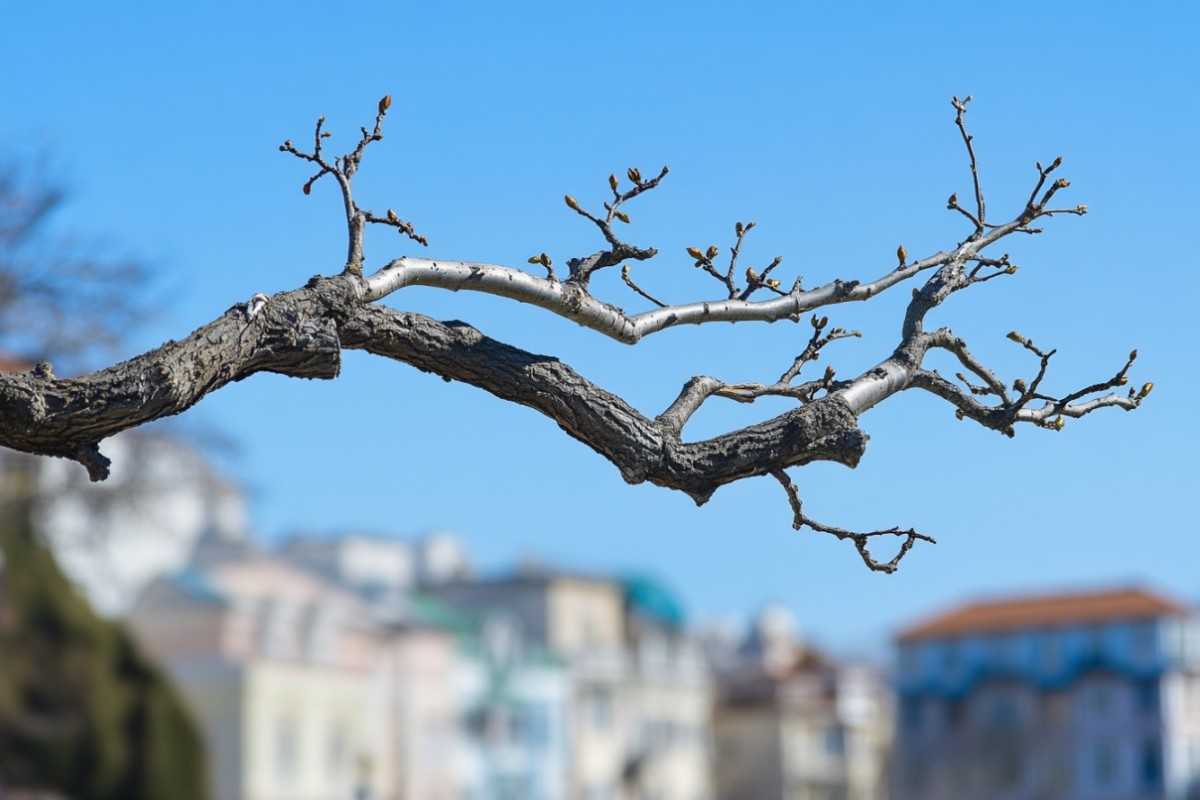 Изображение сгенерировано при помощи нейросети Midjourney