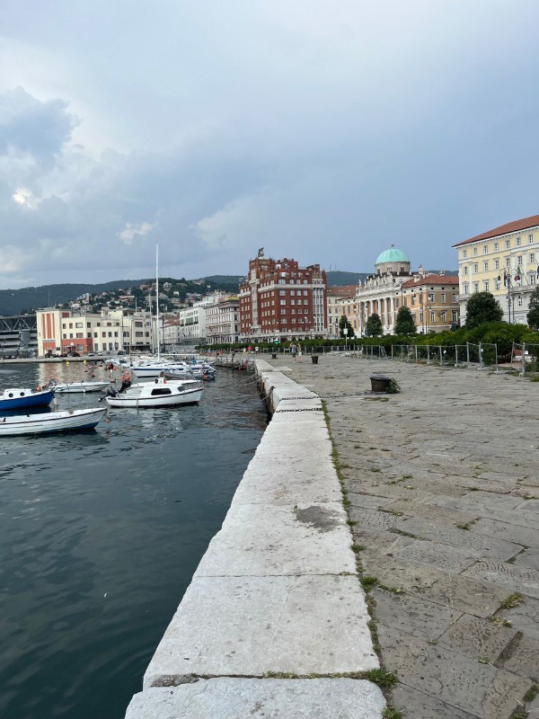 Фото: Юлия Крышевич/ Клео.ру