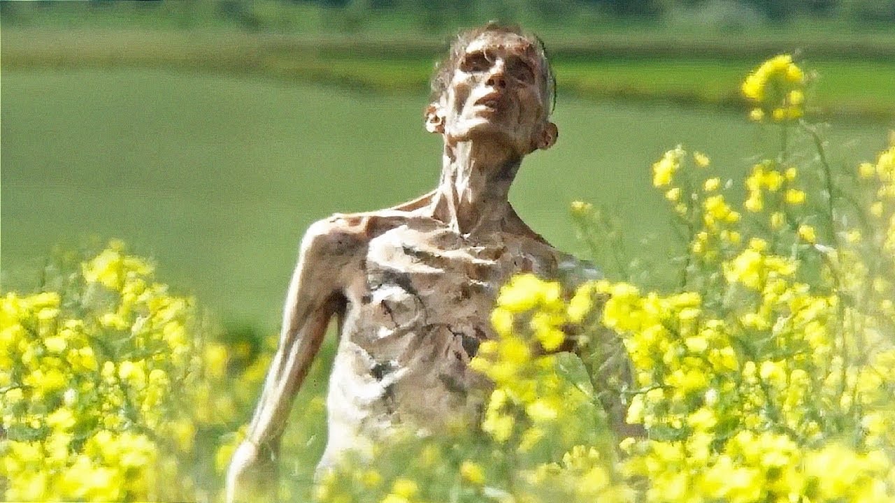 Фото: кадры из фильма