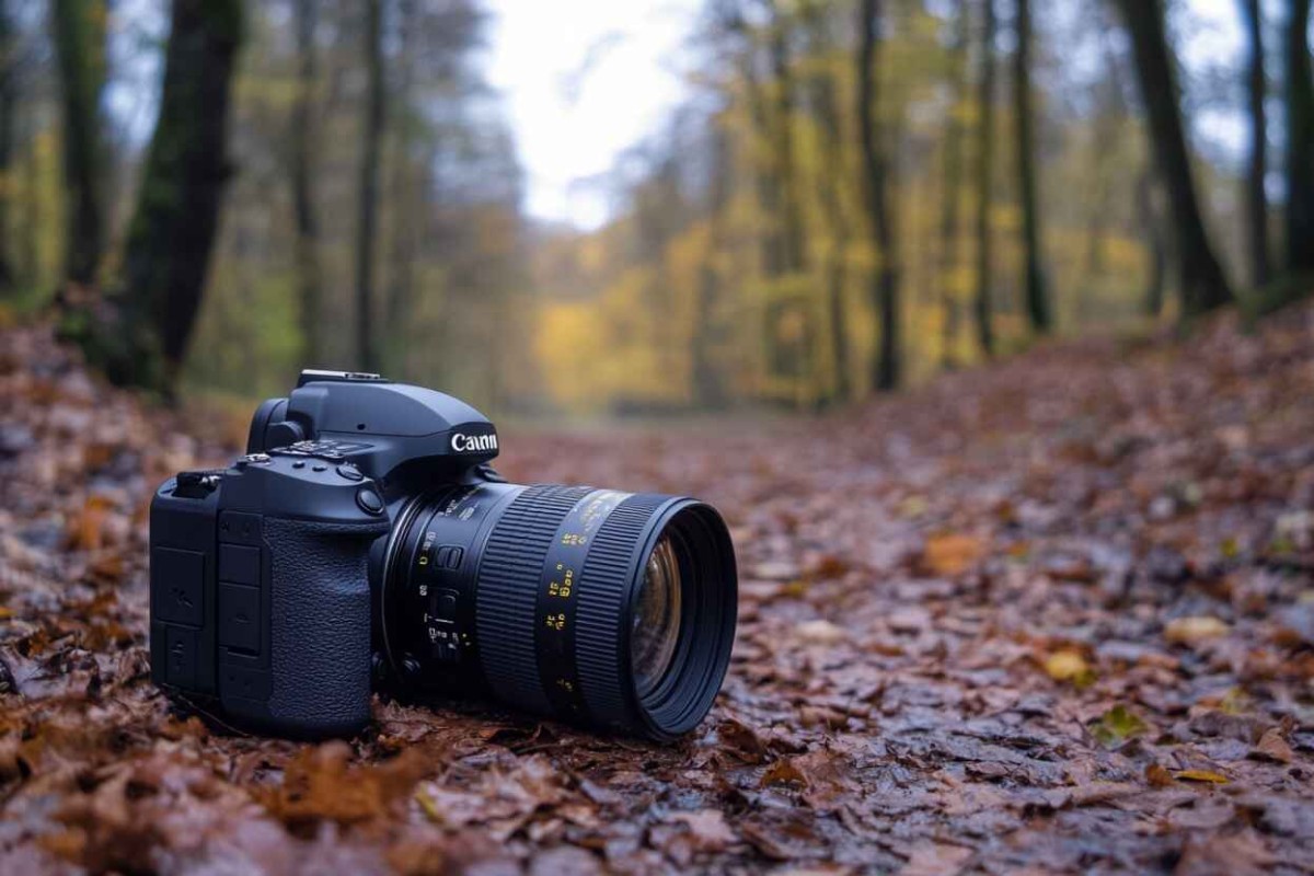 Изображение сгенерировано при помощи нейросети Midjourney