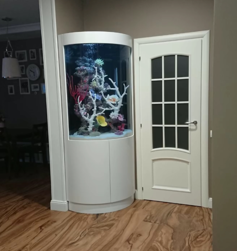 Фото: соцсети / @aquanex.by