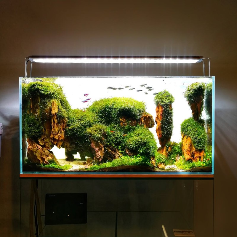 Фото: соцсети / @alex_kirghizov