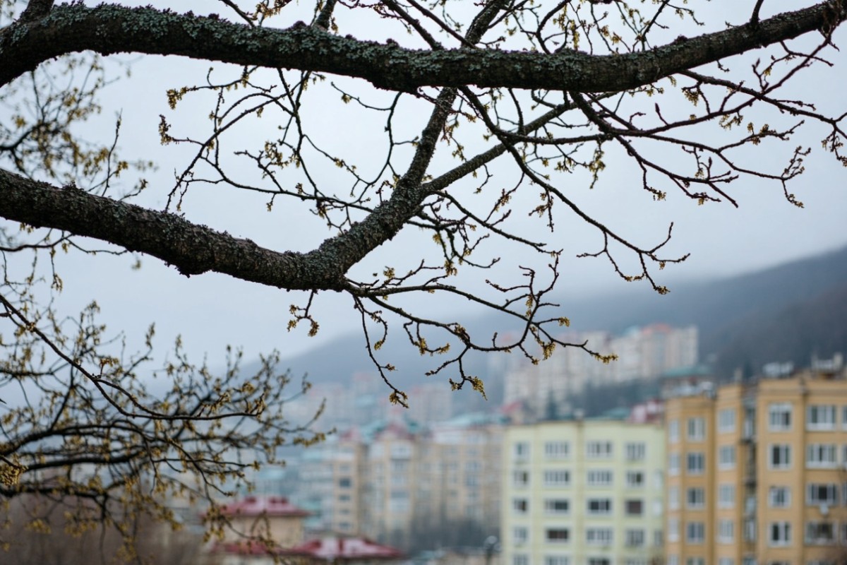 Изображение сгенерировано при помощи нейросети Midjourney