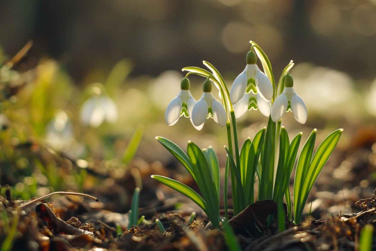 Изображение сгенерировано при помощи нейросети Midjourney