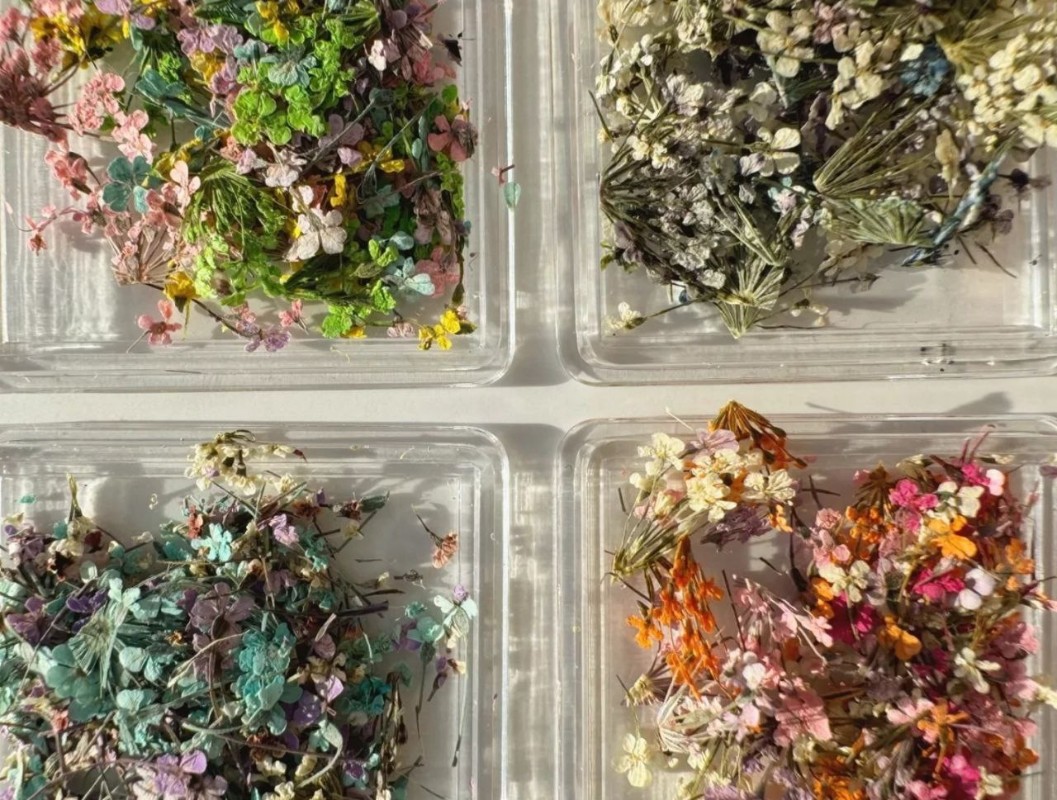 Фото: архивы пресс-службы Darydom. Сухоцветы для дизайна ногтей