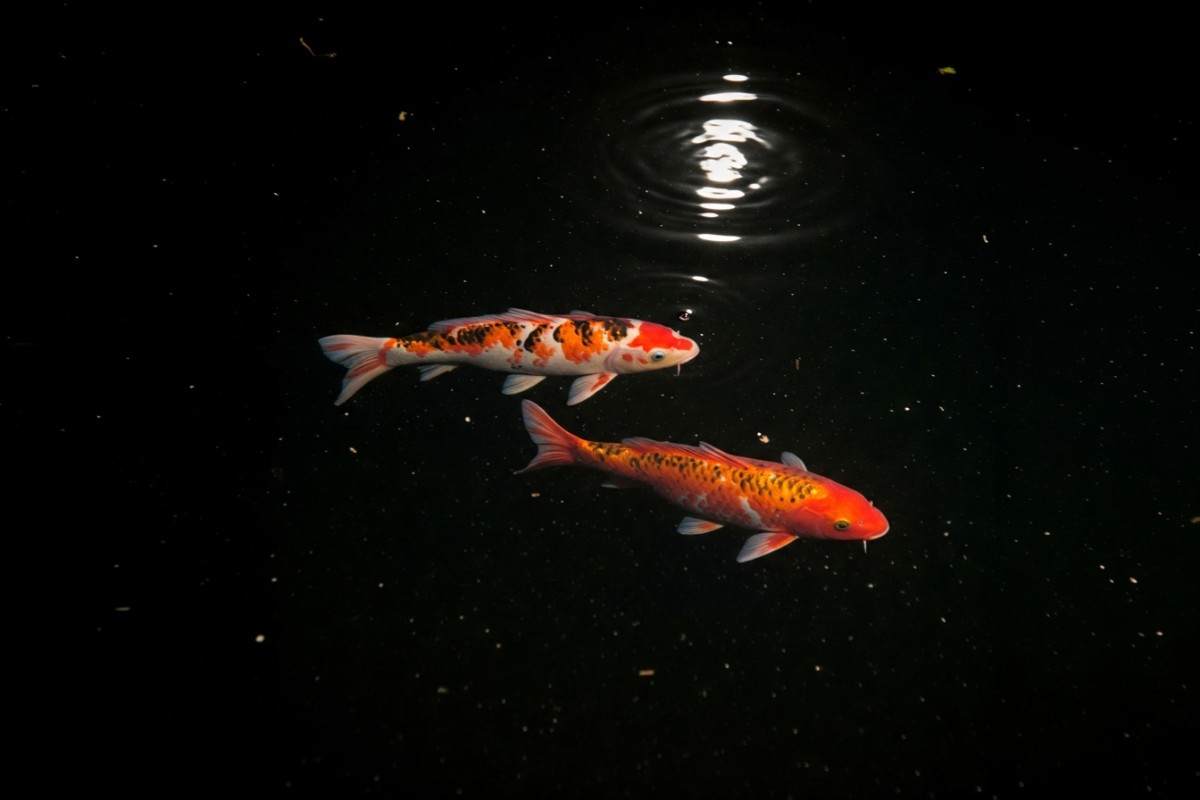 Изображение сгенерировано при помощи нейросети Midjourney