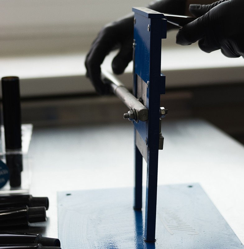 Фото: архивы пресс-службы Cosmavera