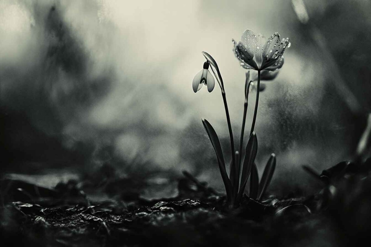 Изображение сгенерировано при помощи нейросети Midjourney