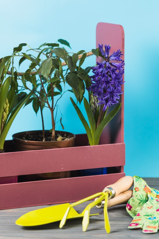 Фото: Freepik.com