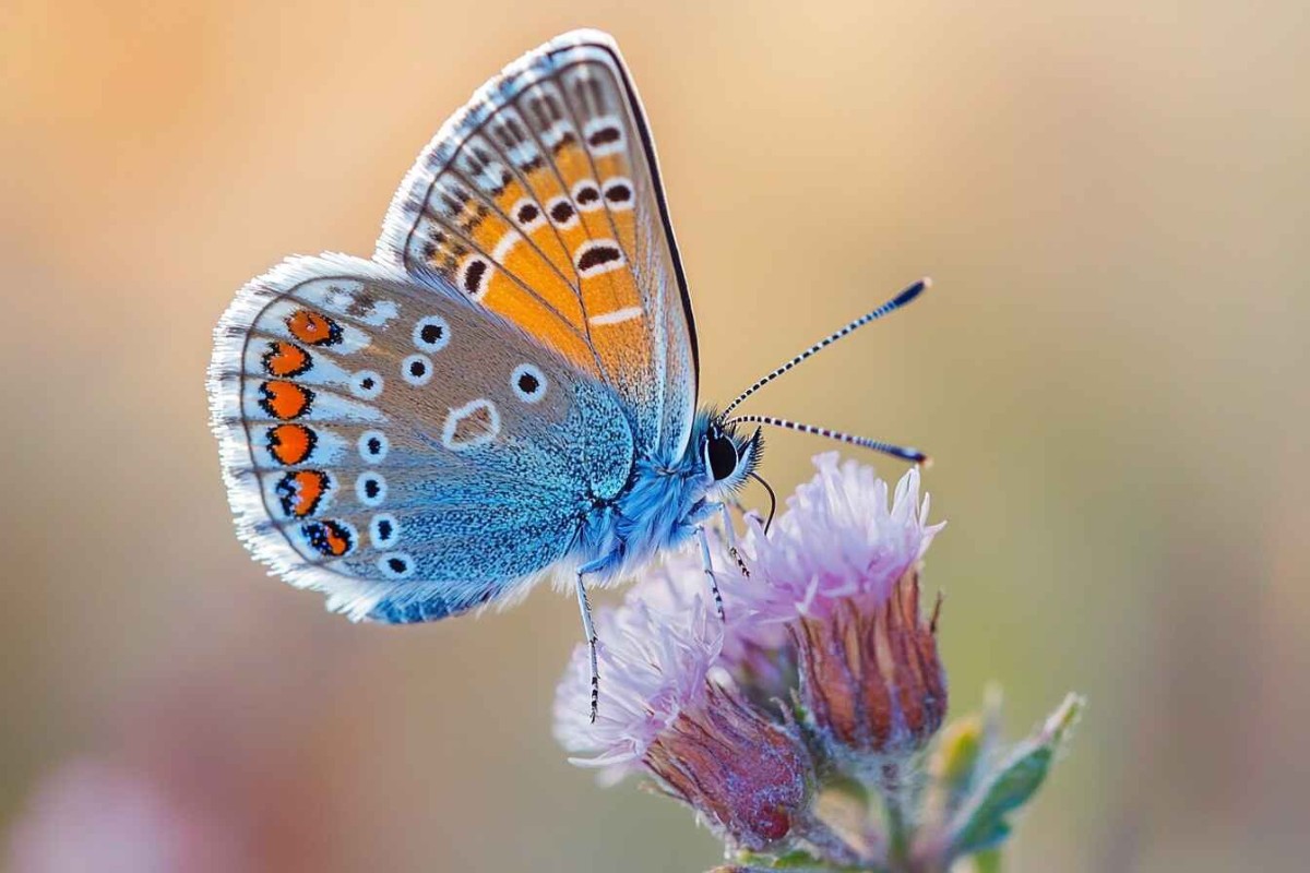 Изображение сгенерировано при помощи нейросети Midjourney