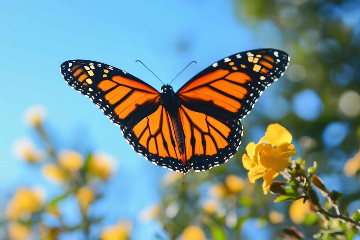 Изображение сгенерировано при помощи нейросети Midjourney