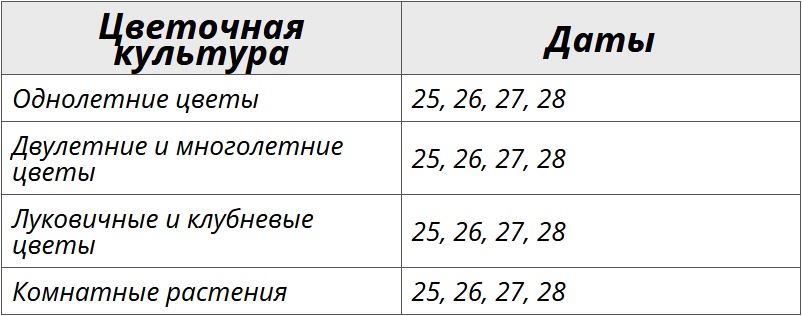 Благоприятные дни для посадки цветов по лунному календарю на август 2025 года – Kleo.ru