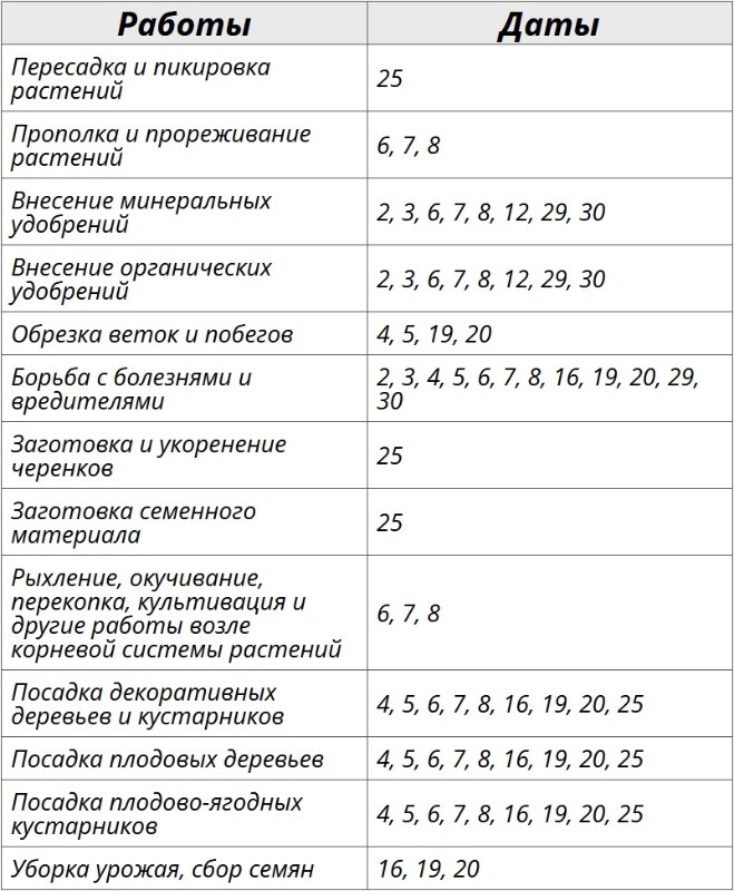 Благоприятные дни для огородных работ по лунному календарю на август 2025 года – Kleo.ru