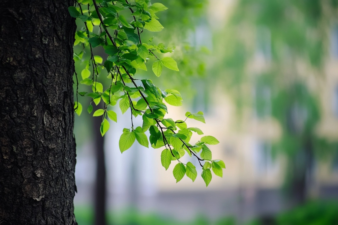 Изображение сгенерировано при помощи нейросети Midjourney