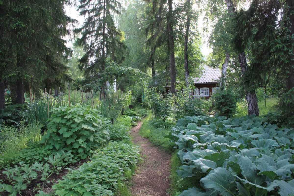 Изображение сгенерировано при помощи нейросети Midjourney