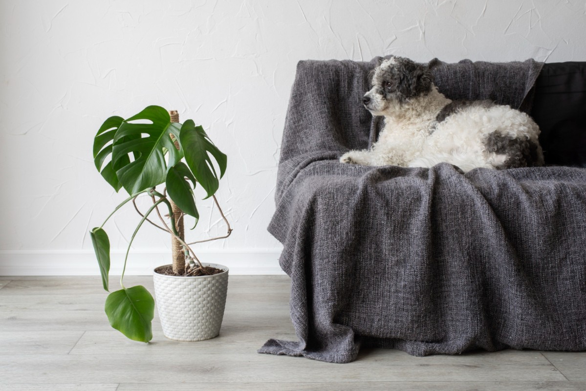 Фото: freepik.com