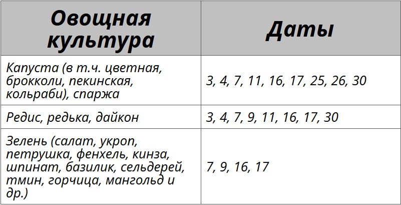 Лунный посевной календарь на сентябрь 2025 года для огородных культур – Kleo.ru