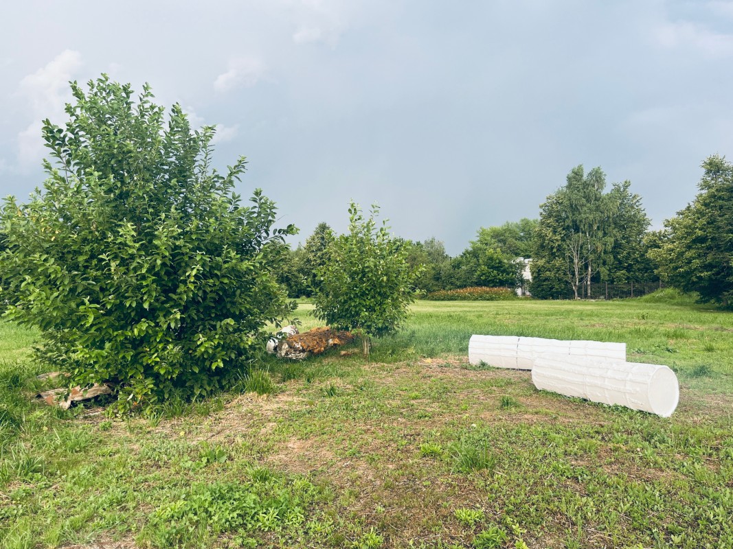 Работа Алены Троицкой &#34;Руина?&#34;. Фото: Юлия Крышевич