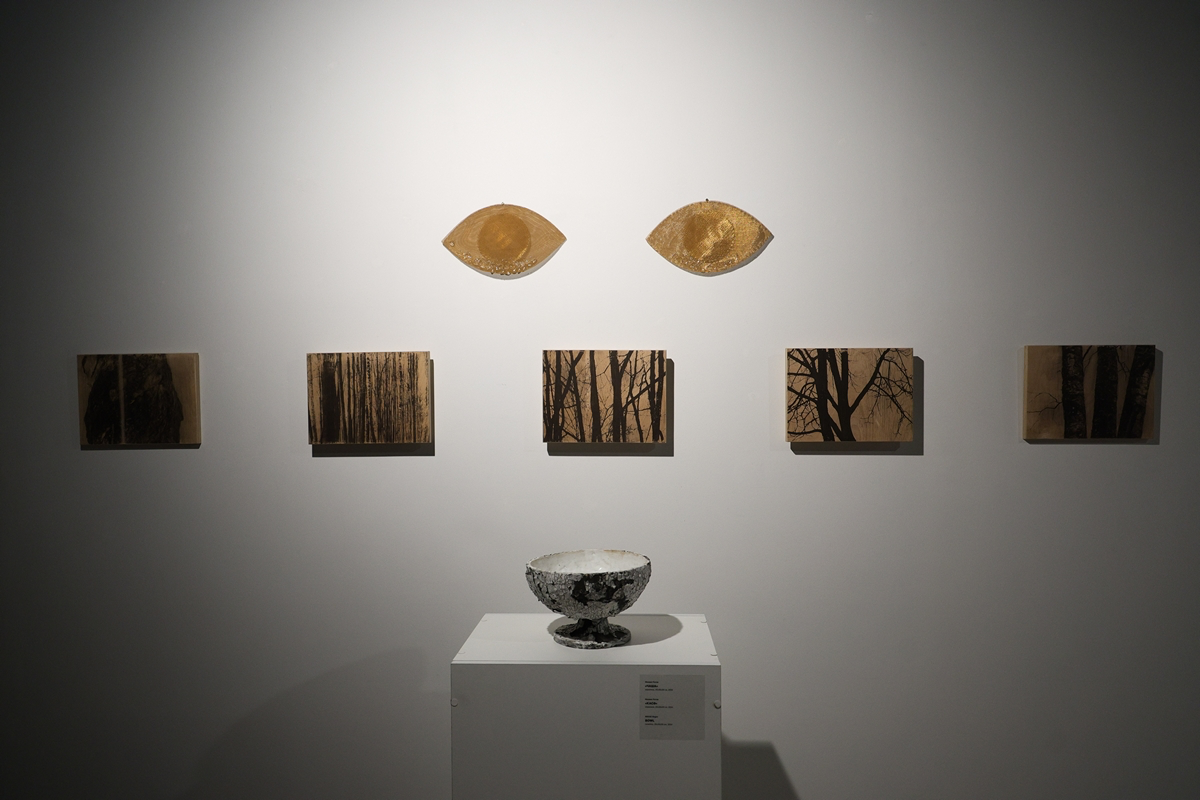 Фрагмент экспозиции выставки &#34;Сад приходящих смыслов&#34;. Фото: Сергей Елагин. Предоставлено пресс-службой галереи &#34;Бизон&#34;