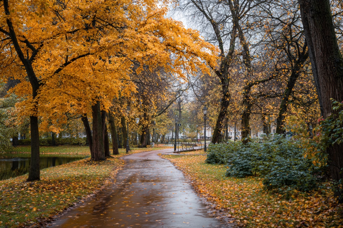 Изображение сгенерировано при помощи нейросети Midjourney