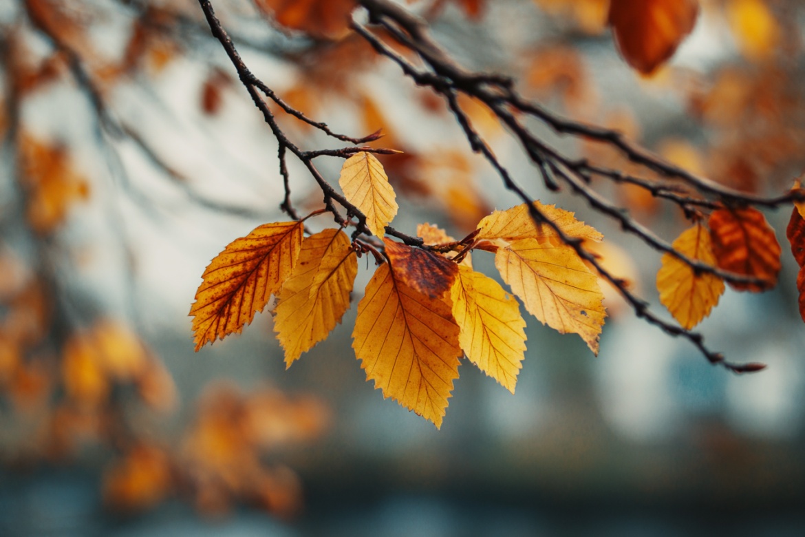 Изображение сгенерировано при помощи нейросети Midjourney