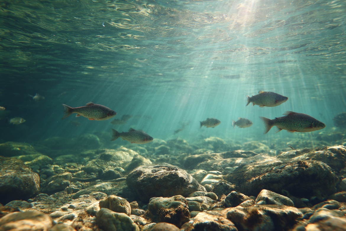 Изображение сгенерировано при помощи нейросети Midjourney