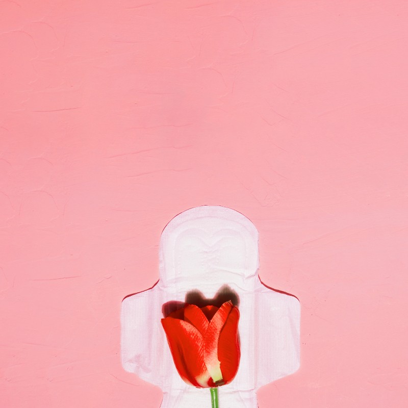 Фото: Freepik.com