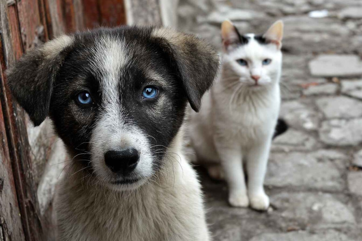 Изображение сгенерировано при помощи нейросети Midjourney