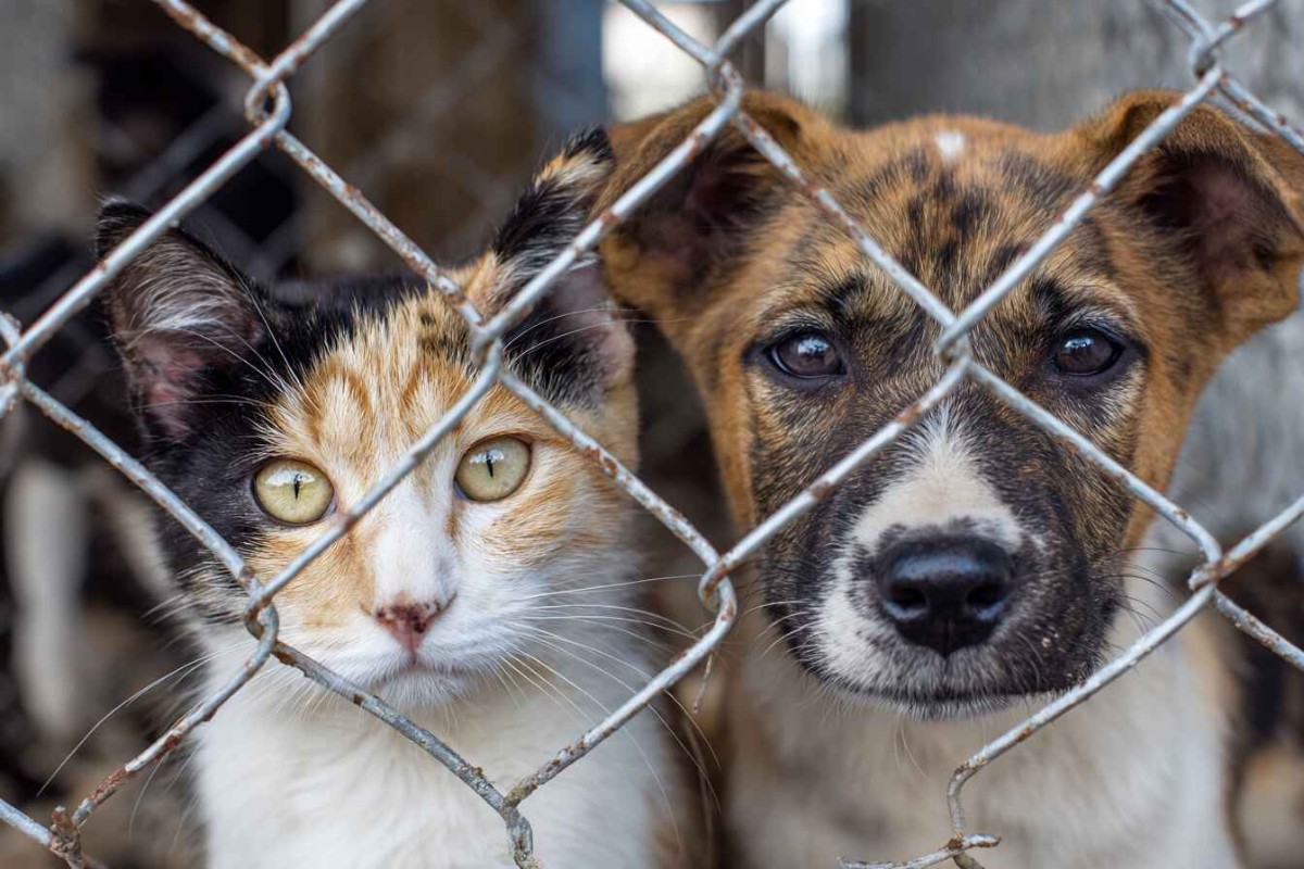 Изображение сгенерировано при помощи нейросети Midjourney