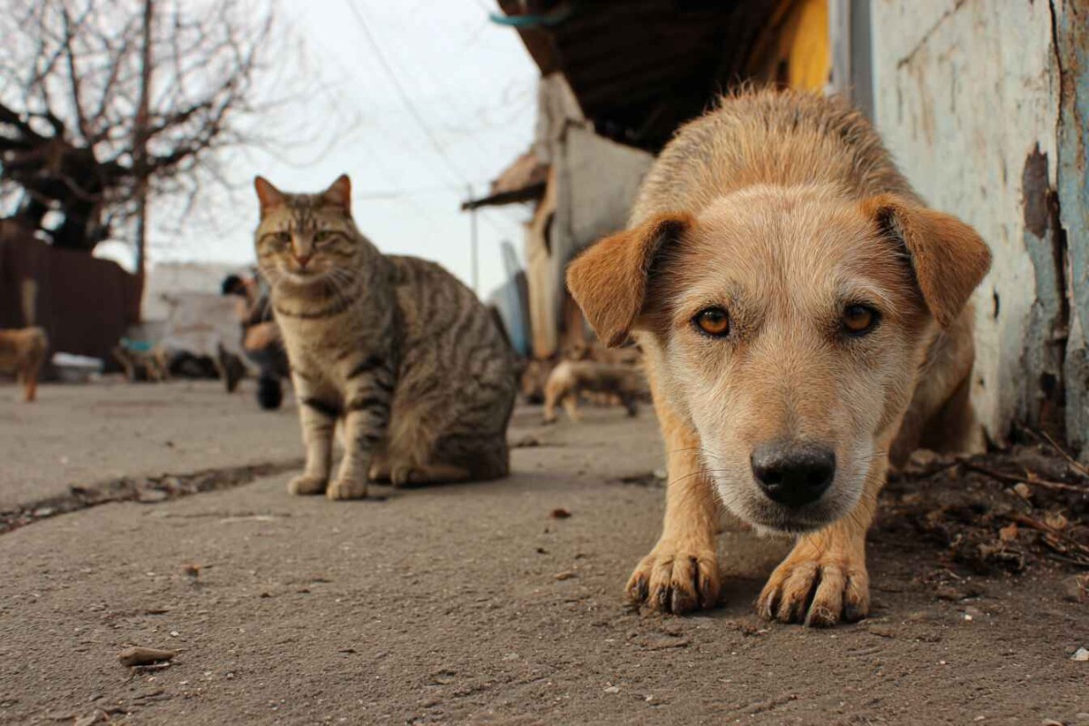 Изображение сгенерировано при помощи нейросети Midjourney