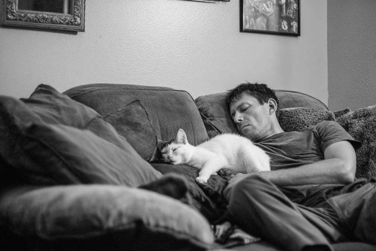 Изображение сгенерировано при помощи нейросети Midjourney