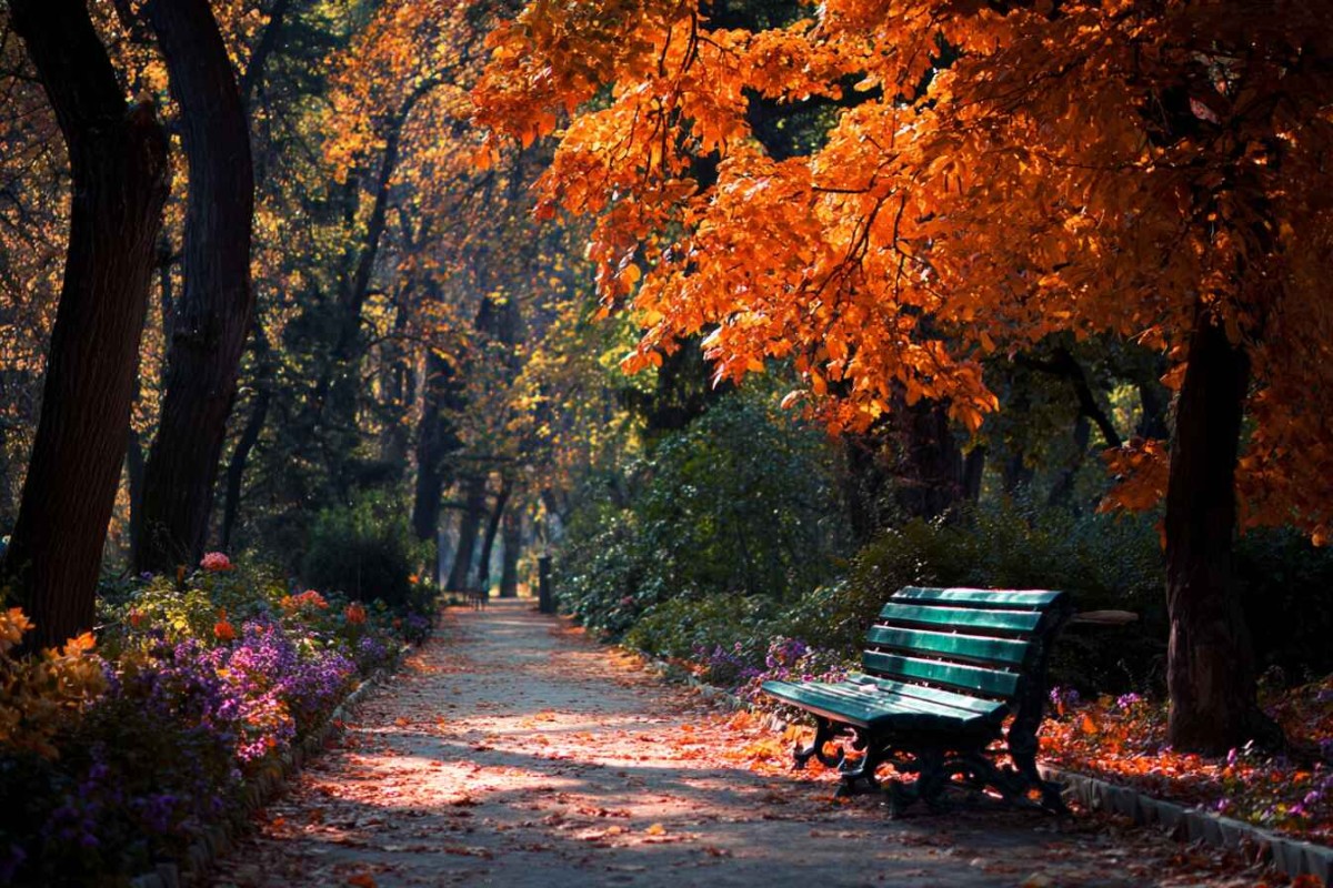 Изображение сгенерировано при помощи нейросети Midjourney