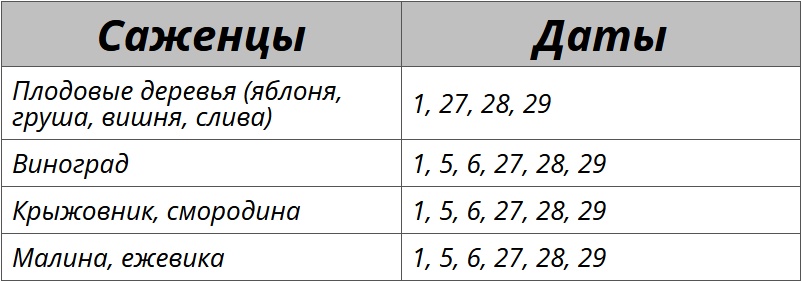 Благоприятные дни для посадки кустарников и деревьев по лунному календарю на октябрь 2025 – Kleo.ru