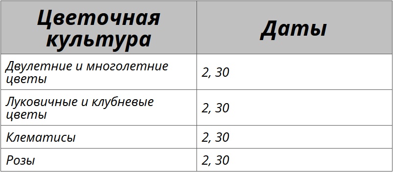 Благоприятные дни для посадки цветов по лунному календарю на октябрь 2025 – Kleo.ru