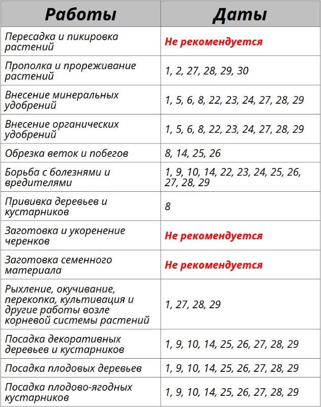 Благоприятные дни для огородных работ по лунному календарю на октябрь 2025 – Kleo.ru