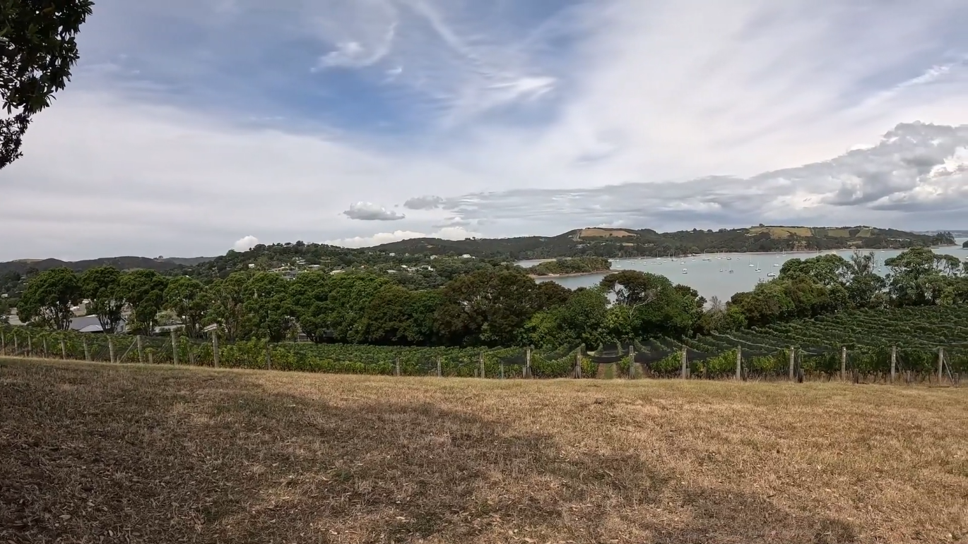 Фото: YouTube / @fieldtripswithaview