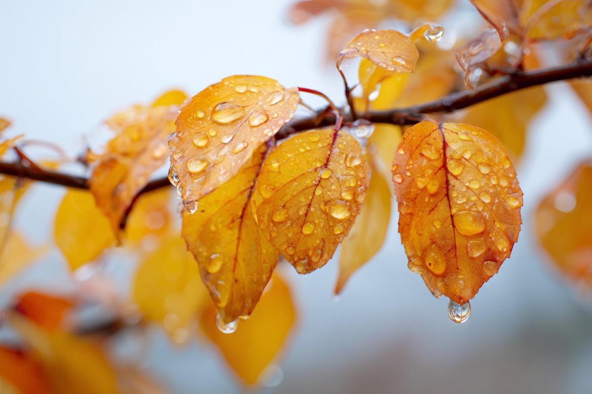 Изображение сгенерировано при помощи нейросети Midjourney